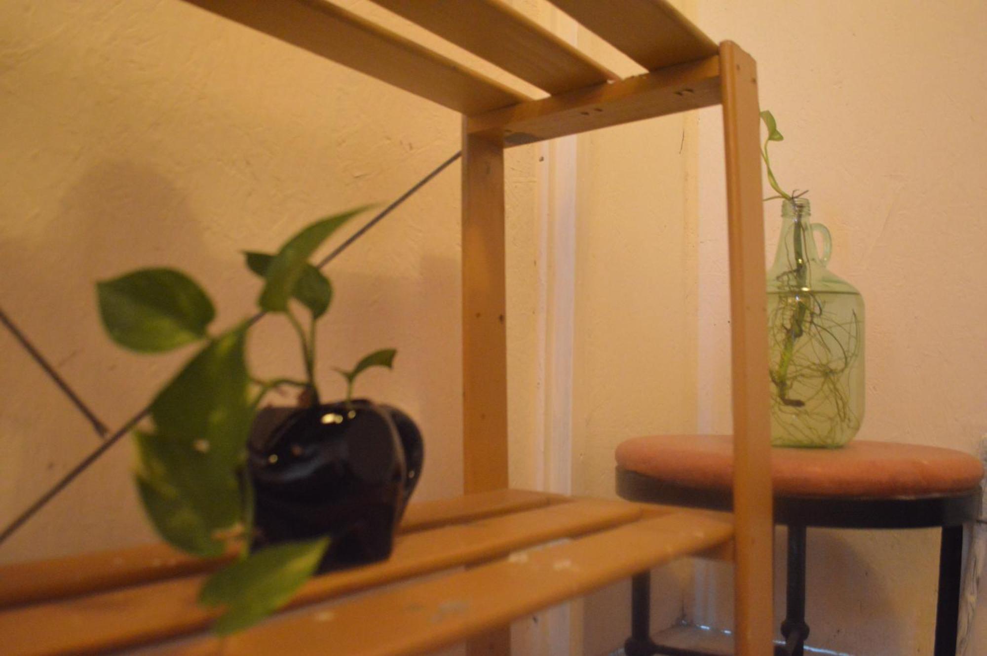 פוארטו ואלארטה Canova Hostel & Pizza מראה חיצוני תמונה