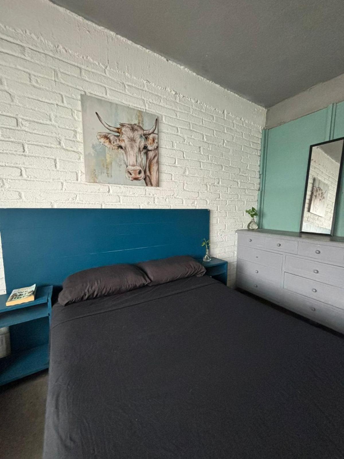 פוארטו ואלארטה Canova Hostel & Pizza מראה חיצוני תמונה